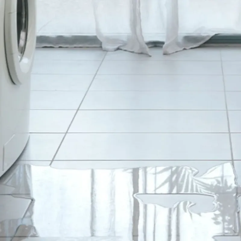 Appliance Leak Cleanup in Harbour Heights, FL