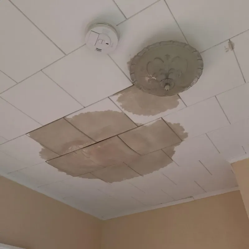 Ceiling Water Damage Repair in Harbour Heights, FL